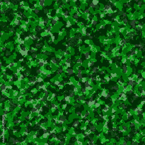 Mimetica militare:foresta e giungla