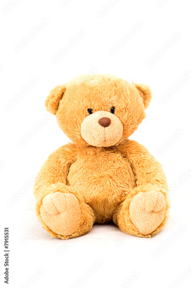 sitting bear toy sitting bear toy