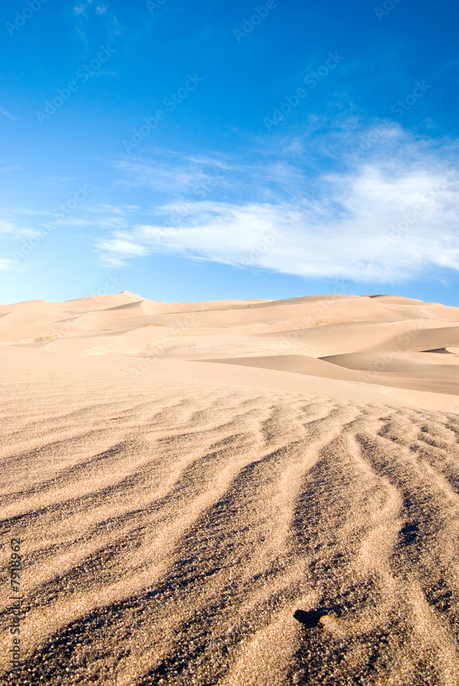 Naklejka premium dune