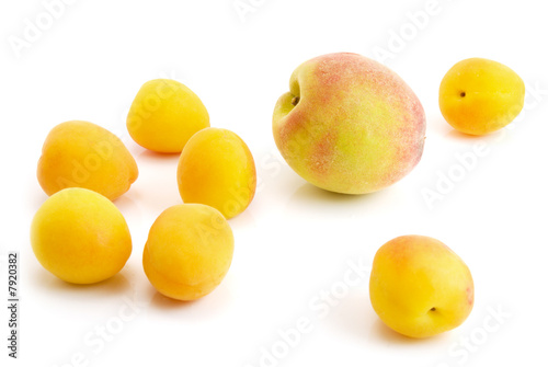 peaches and apricots