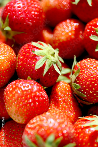 Berry Fruit