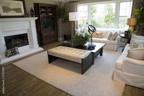 Living room with a fireplace and modern decor.
