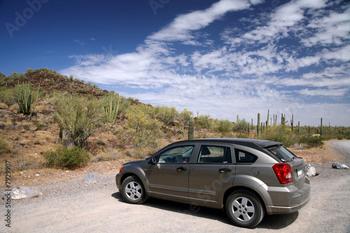 car in the Organ Pipe National Monument, Arizona, USA