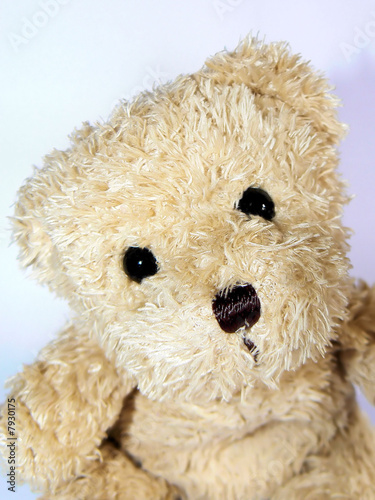 Ours en peluche