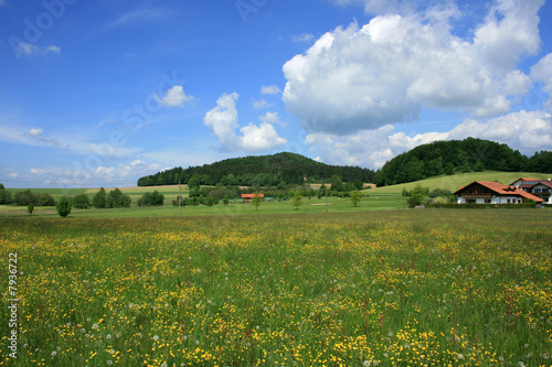 Frühlingslandschaft im Bayerischen Wald