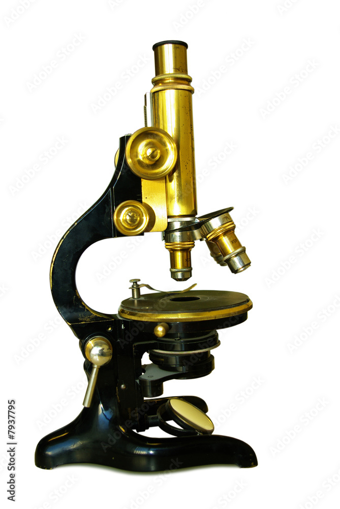 microscope microscope