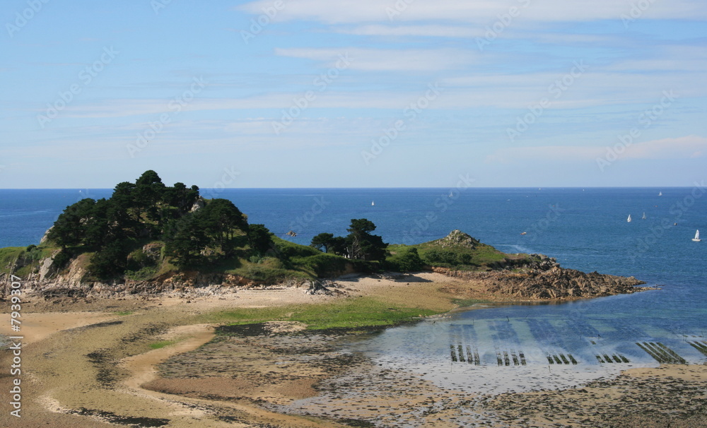 Fotografie bretagne , huitres,huitre,parc,ostréiculteur ,ostréiculture