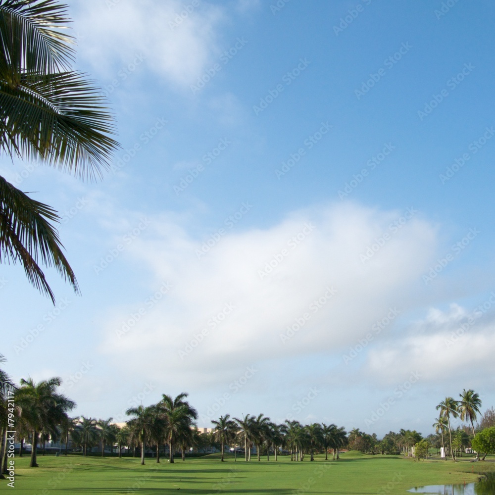 Golf resort in Dorado, Puerto Rico