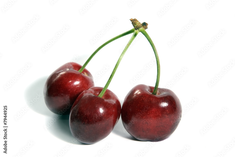 Cerises Cerises
