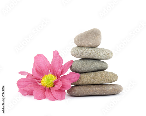 zen   spa stones with flowers