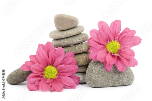 zen   spa stones with flowers