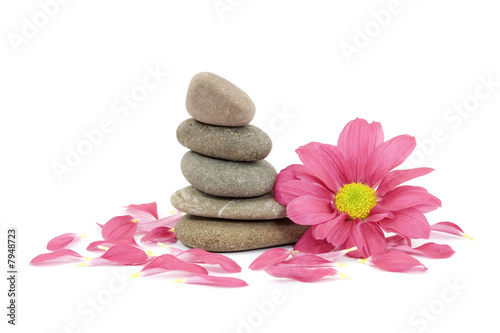zen   spa stones with flowers