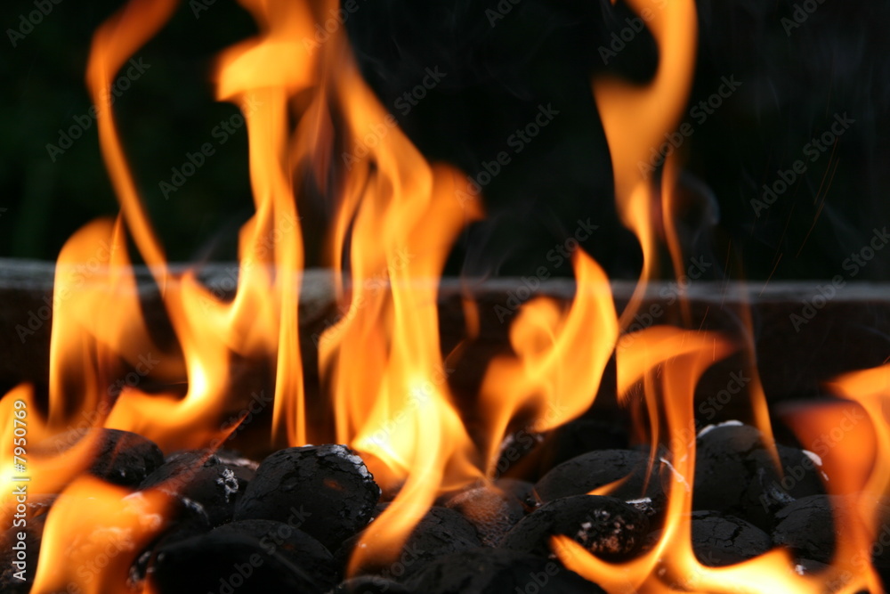 FEUER COMPANY visual data 6