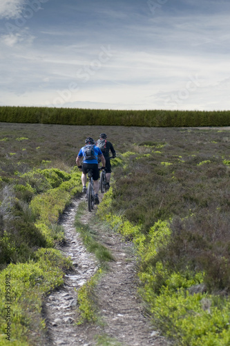 Mountain Bikers