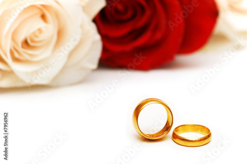 Rose and wedding rings isolated on the white