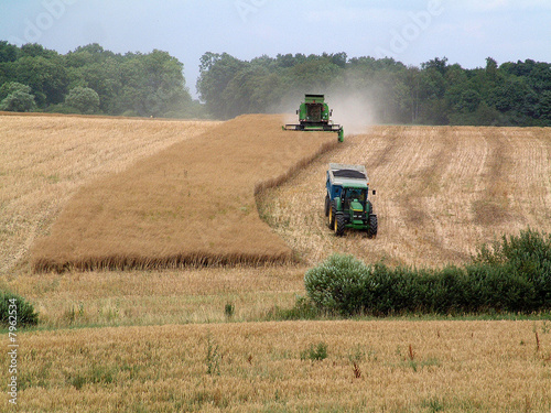 Fotografie moisson de colza