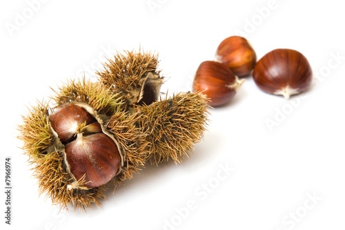 Chestnuts