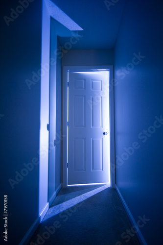 Door to the light