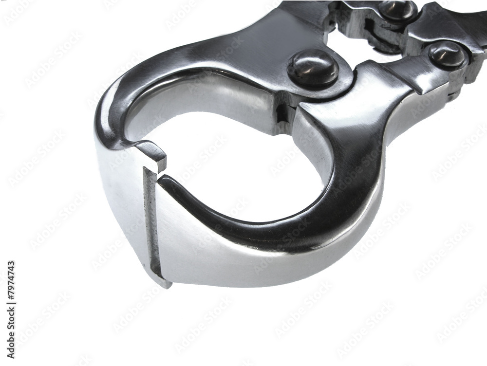 Obraz premium Hufzange