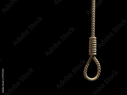 Hangman's noose photo