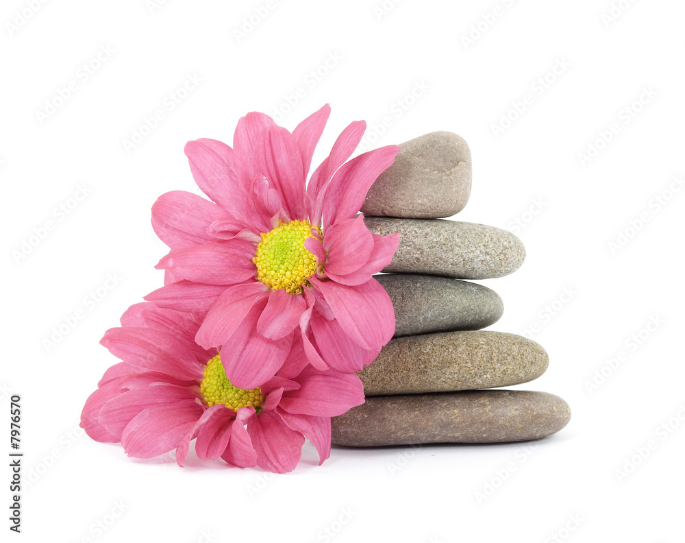 zen / spa stones with flowers - obrazy, fototapety, plakaty 