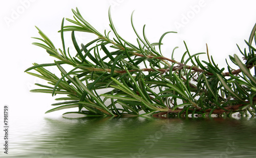 Romarin