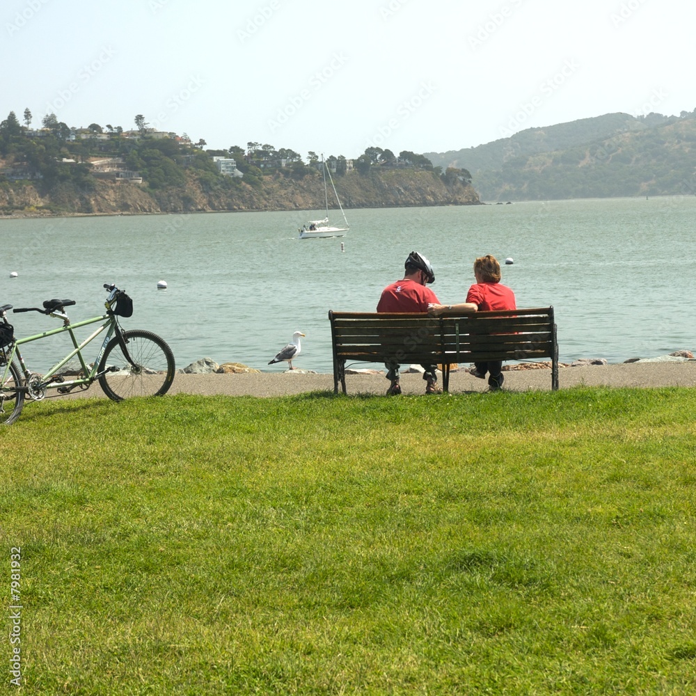 Sausalito, a town on San Francisco Bay in Marin County, USA