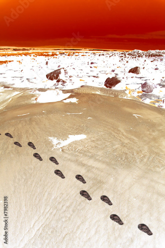 life on mars 1