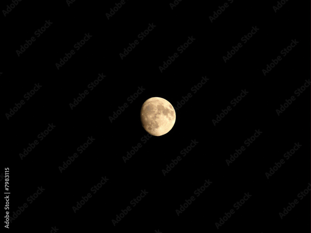 Fototapeta premium Moon