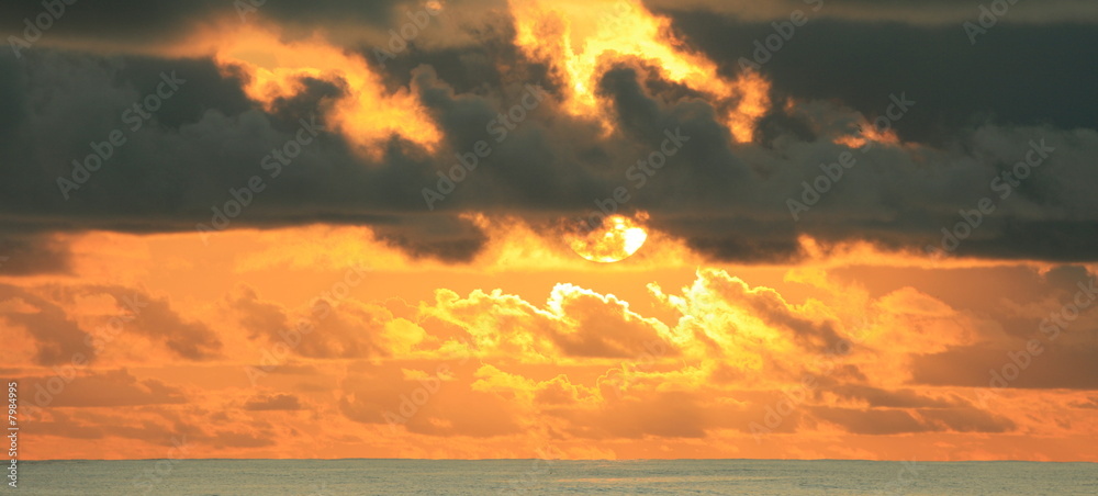 Seychelles Denis Island Seychelles Denis Island