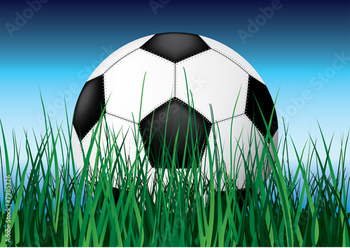 Soccer ball on grass.