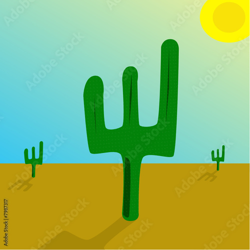 Cactus in the desert