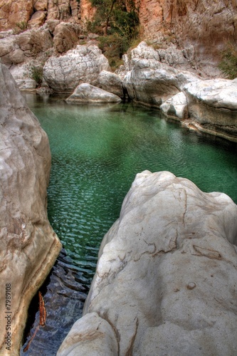 Canyon   Oasis in the desert of the sultanate Oman near Muscat