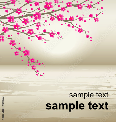 Vector illustration of a cherry twigs in bloom