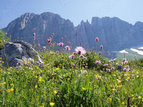 Fisht Mountain