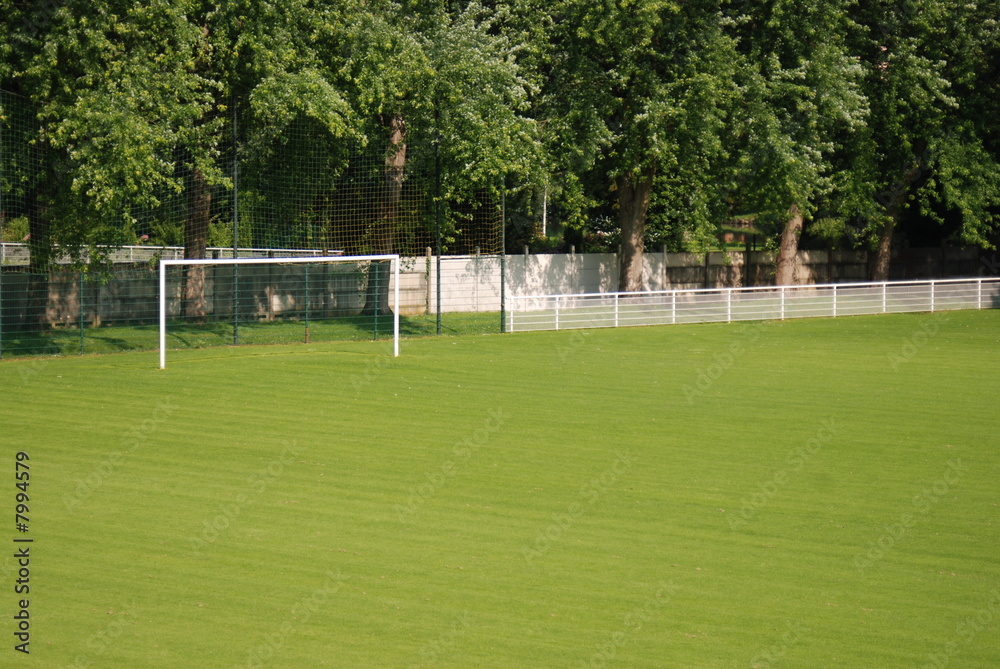 Fototapeta premium but de football