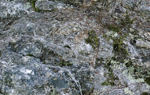 Granite outcrop with moss growing on it