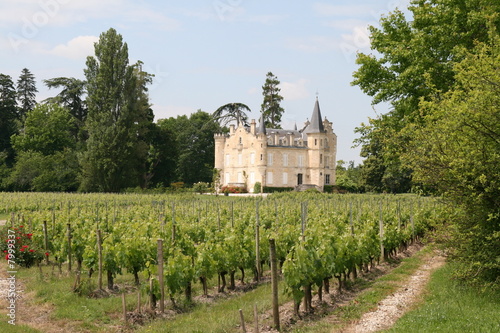 Château Haut Bergey  Graves #7999337