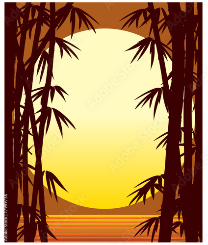 Bamboo sunset