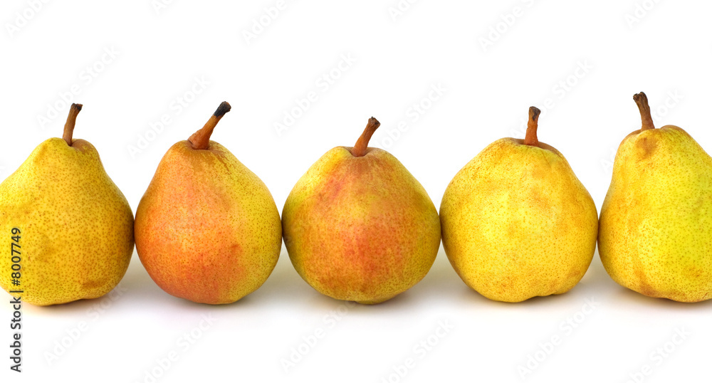 fresh pears row on white background fresh pears row on white background