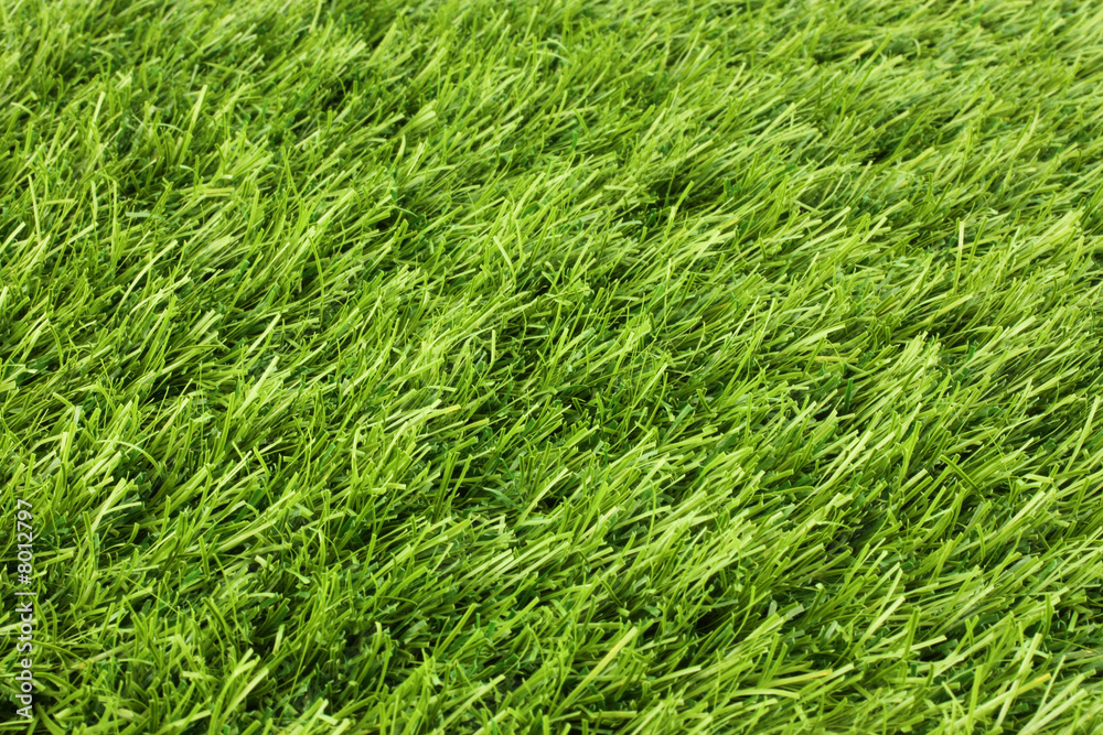 Grass Grass