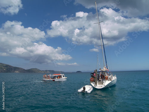Searching for turtles of the coast of Zante.