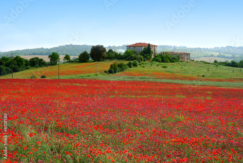 champs de toscane