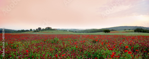 paysage d'un matin toscan