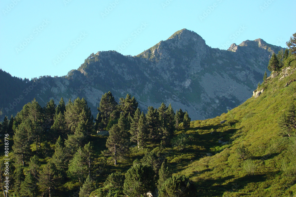 Pic de Balbonne,Ariège,Donnezan,Pyrénées