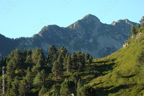 Pic de Balbonne,Ariège,Donnezan,Pyrénées