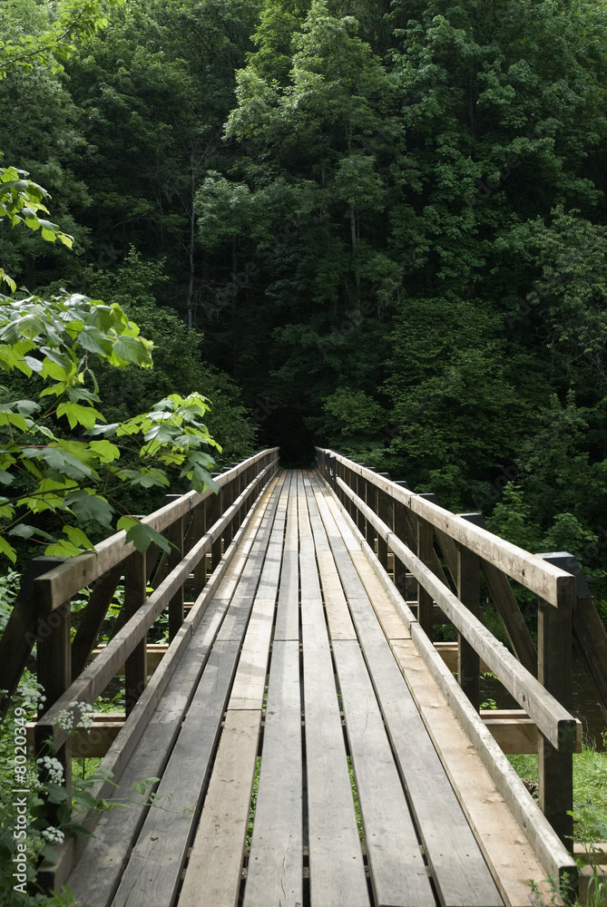 Fototapeta premium holzbrücke