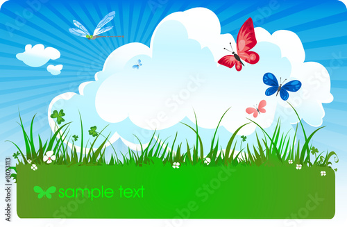 summer meadow