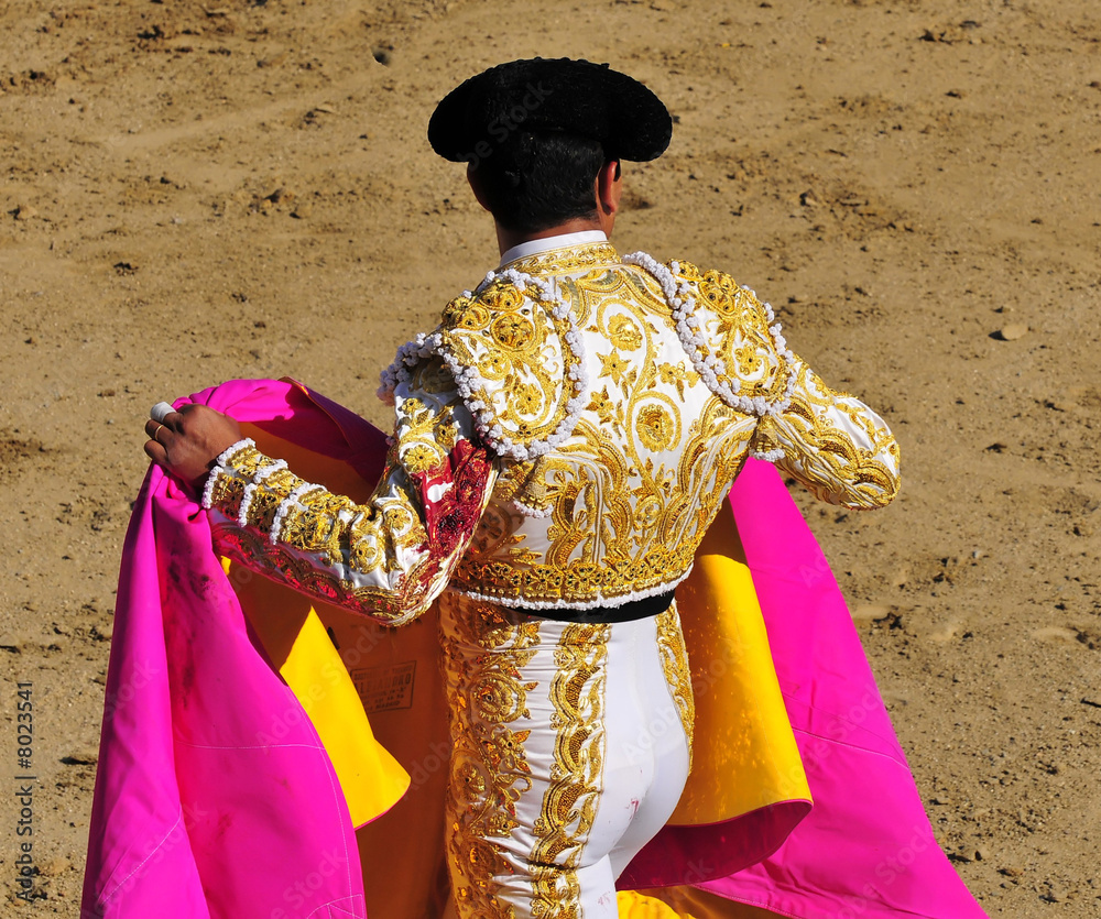 Naklejka premium Matador with Cape