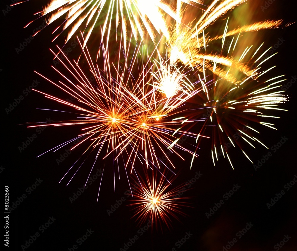 Fototapeta premium Firework